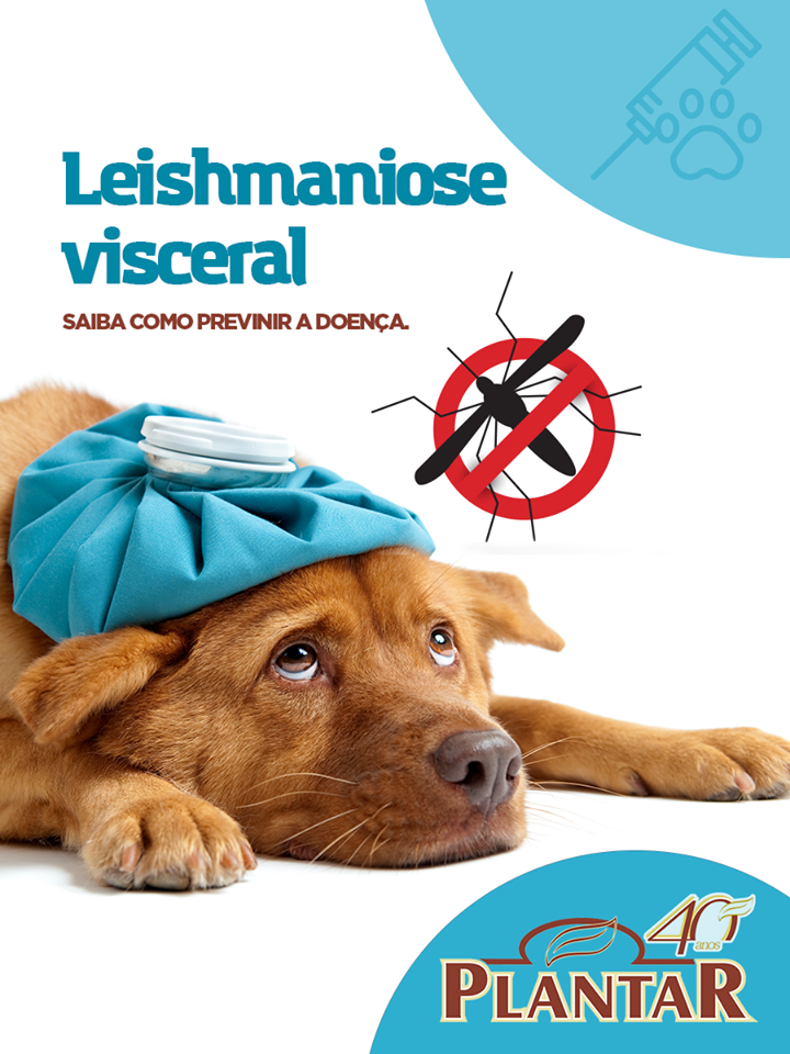 Leishmaniose visceral 