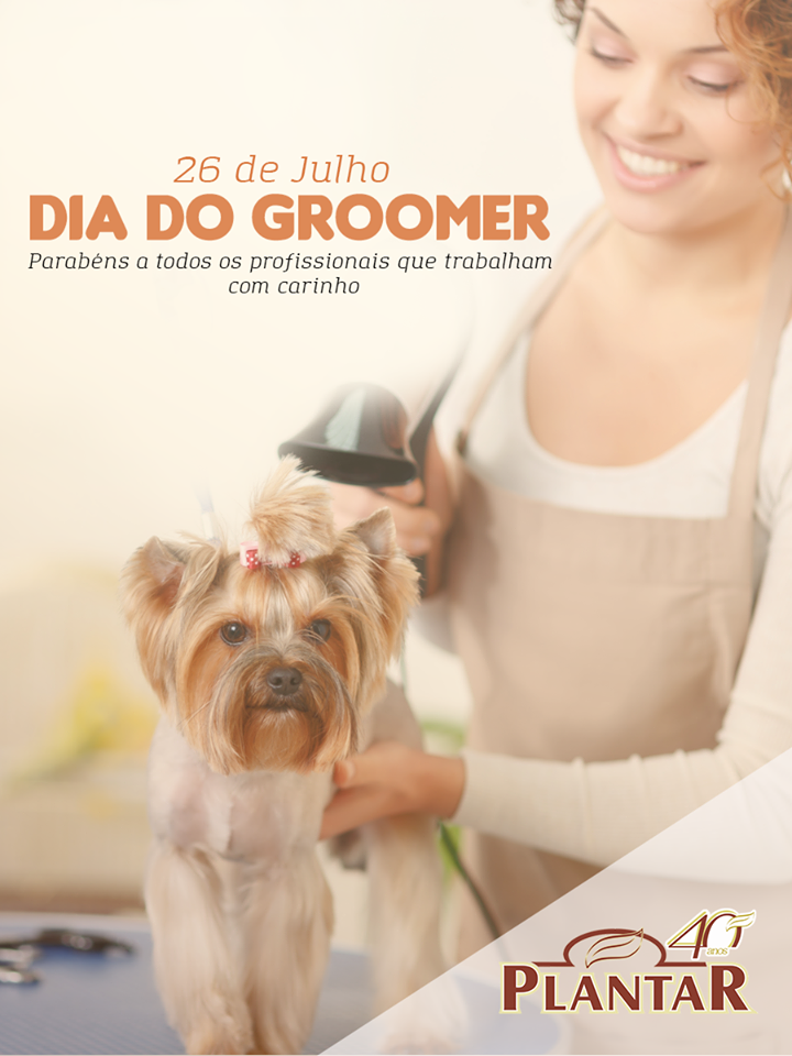 DIA DO GROMMER