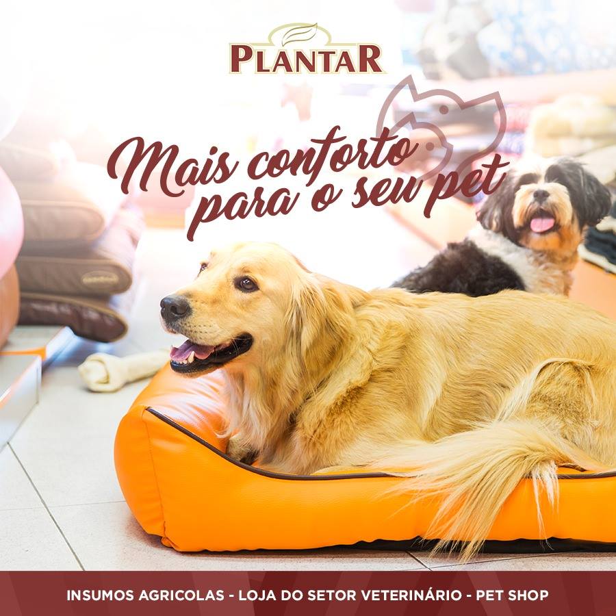 Mais conforto para o seu pet