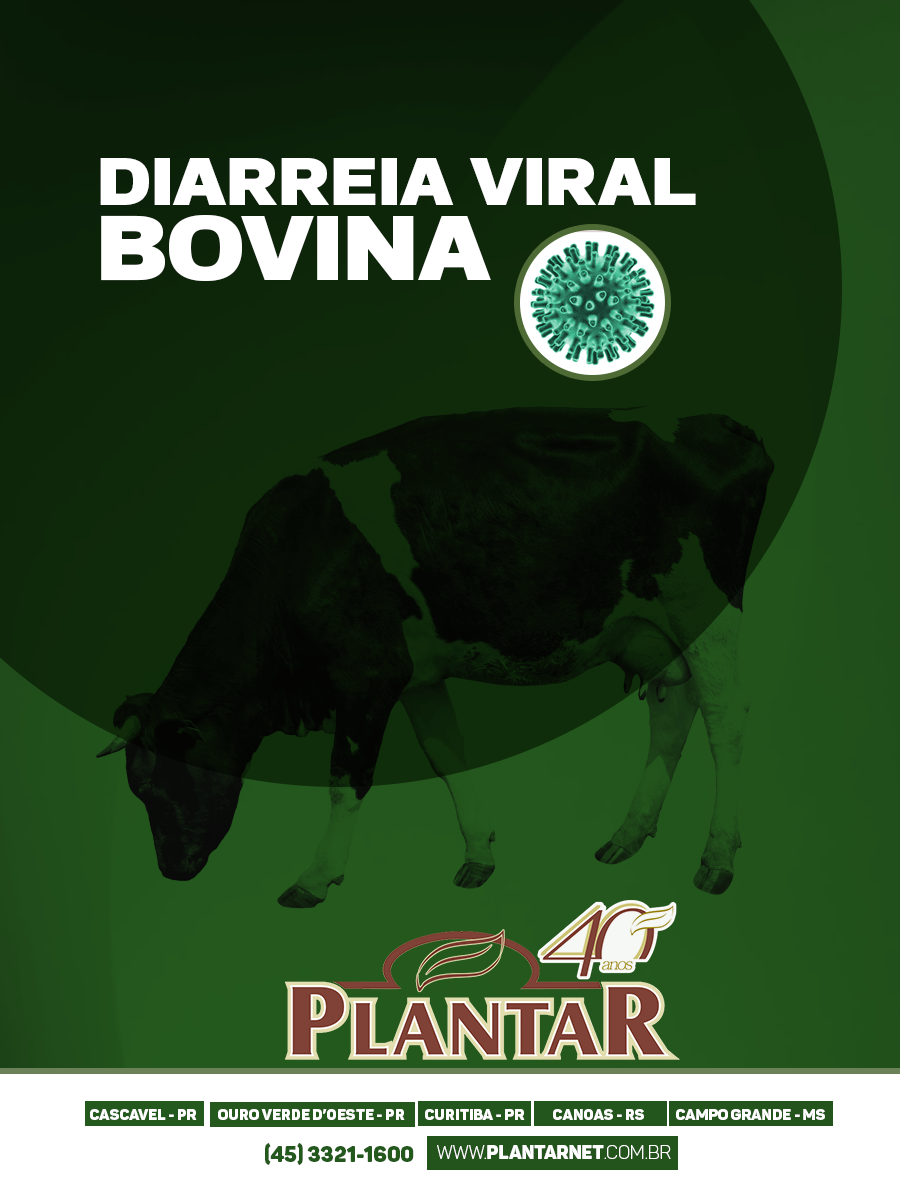 Diarreia Viral